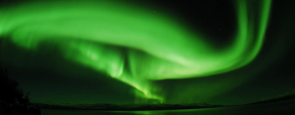 Notre organisation © Shutterstock